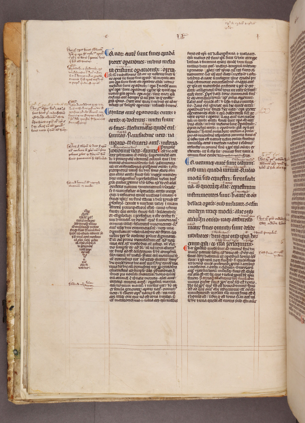 Folio 12 verso